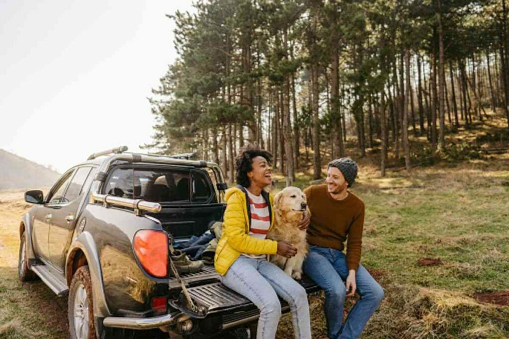 Best Ways to Transport Your Pet on Vacation