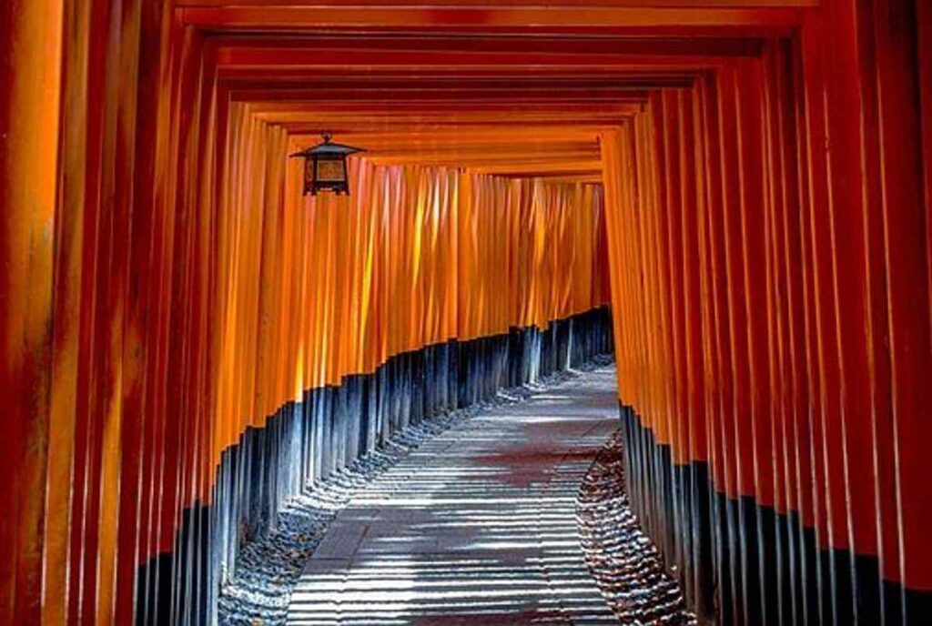 Digital Nomad Group in Japan – 5 various for a Exciting Nomadic Career