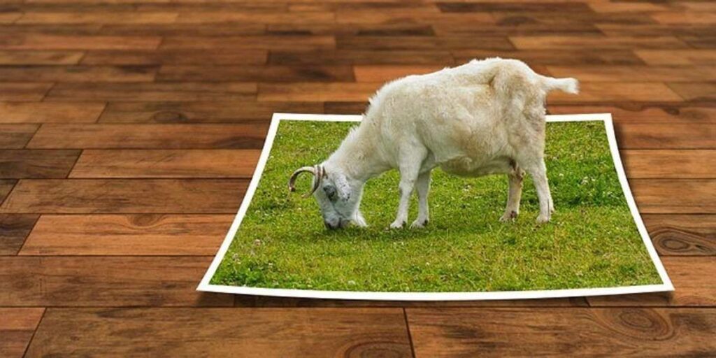 Gimp Photo Editing Software – the best platform to edit images