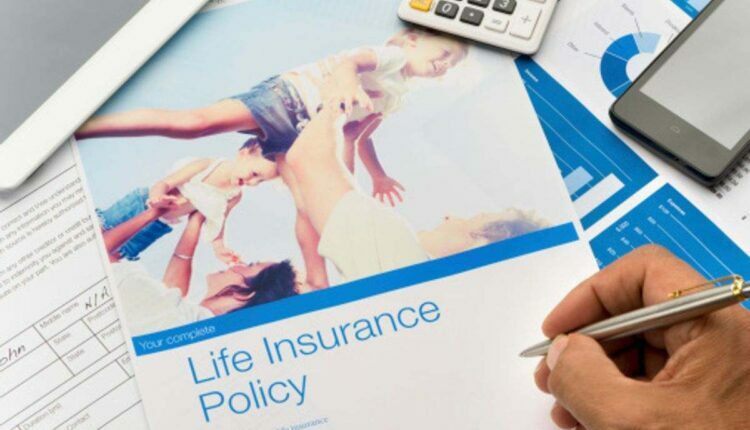 What are the principal types of life insurance