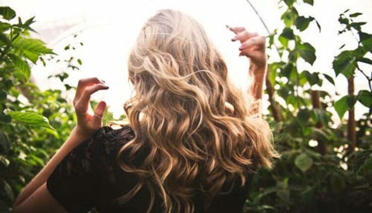 hair vitamin gummies
