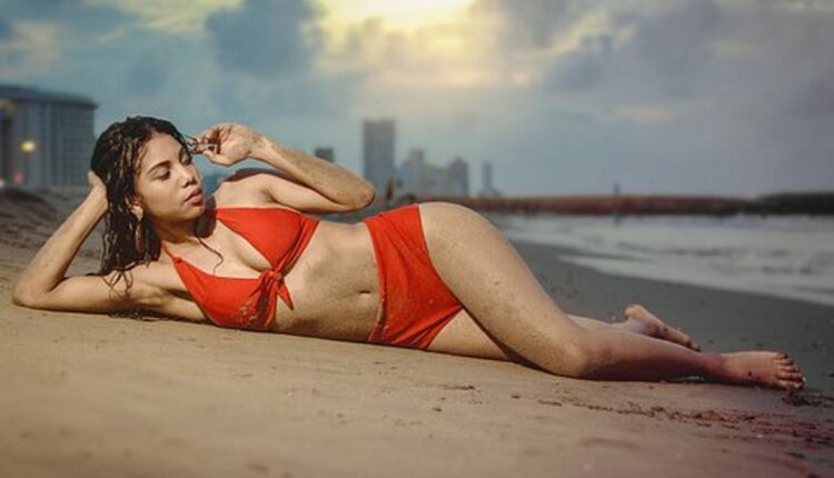 swimsuit manufacturer