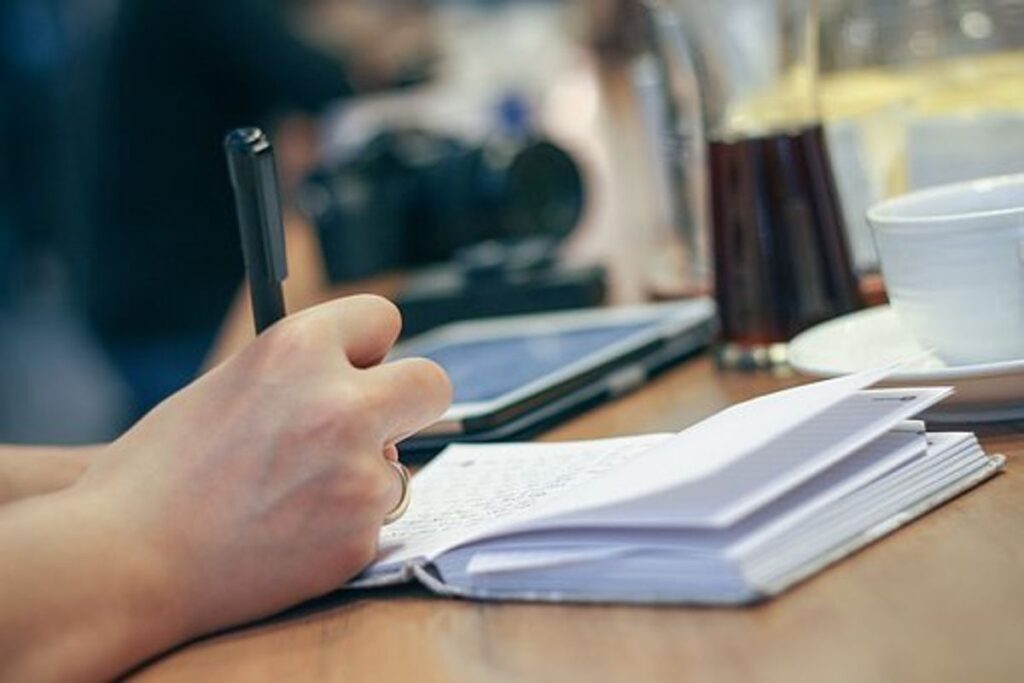 Opt for a Resume Writer or even Resume-writing Service?