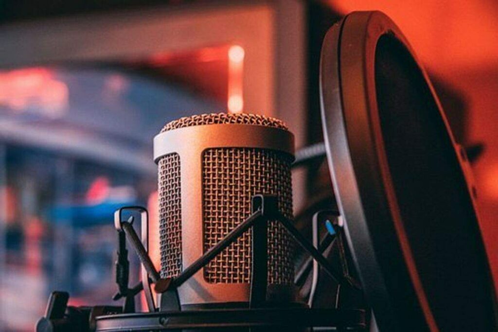 5 Qualities to look for in a Professional Narrator