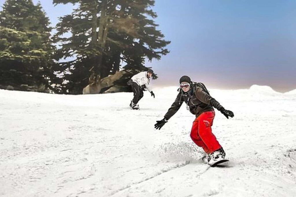 Selecting a Snowboard