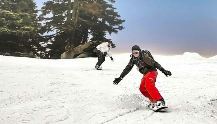 How to Choose a Snowboard