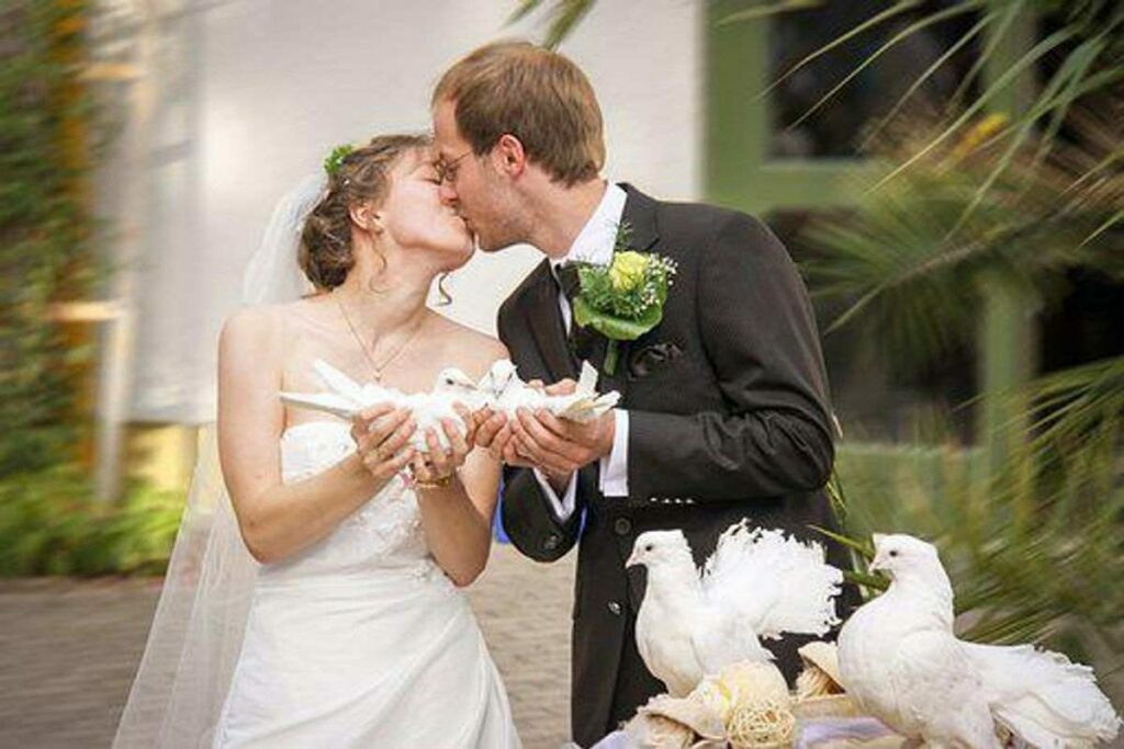 Choosing a Wedding Photographer