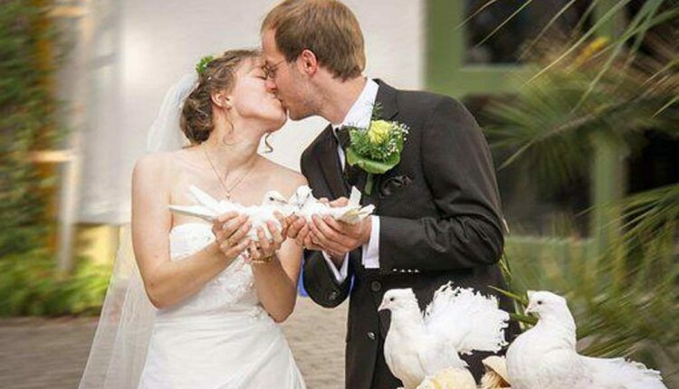 How to Choose a Wedding Photographer