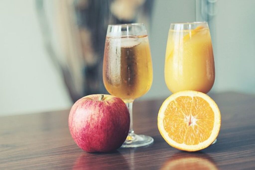 Jocuu Juicer Review