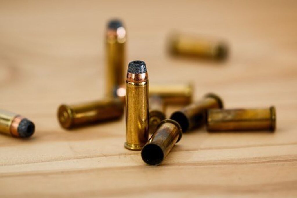 Pellet Gun Hunting – Firearm and Ammo Guide