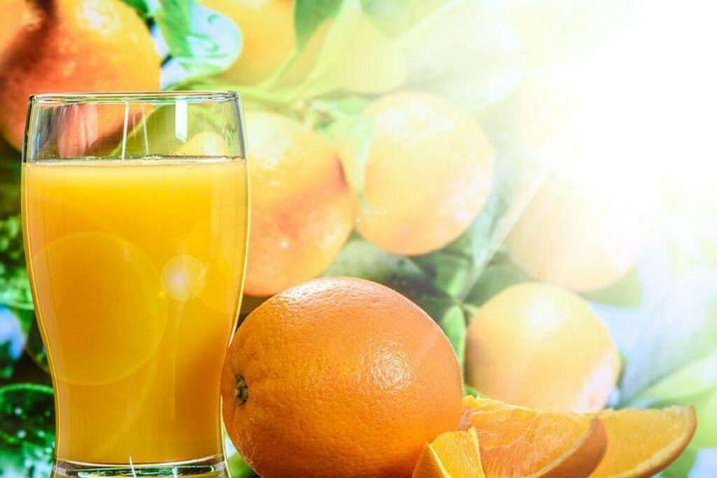 The Best Slow Juicer 2022