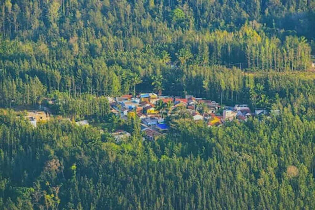 Locations to Go to in Yercaud, Tamil Nadu