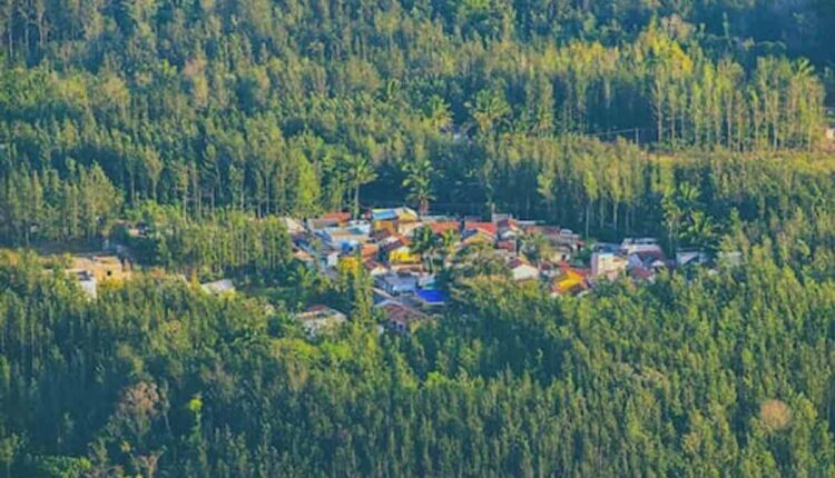 yercaud places to visit