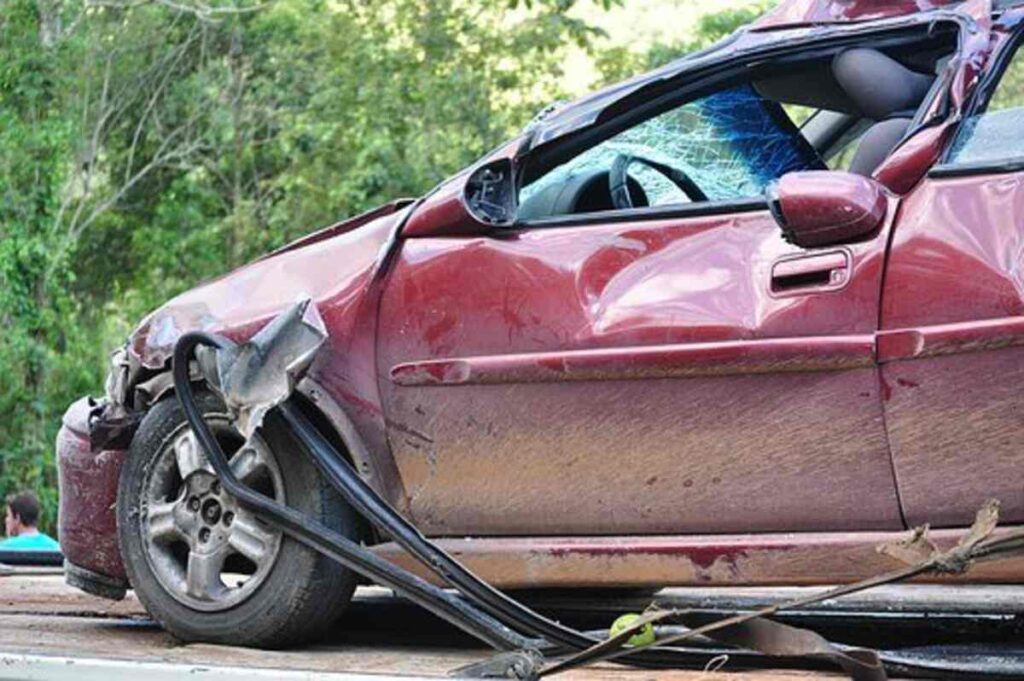 The Insurance coverage Emporium Opinions