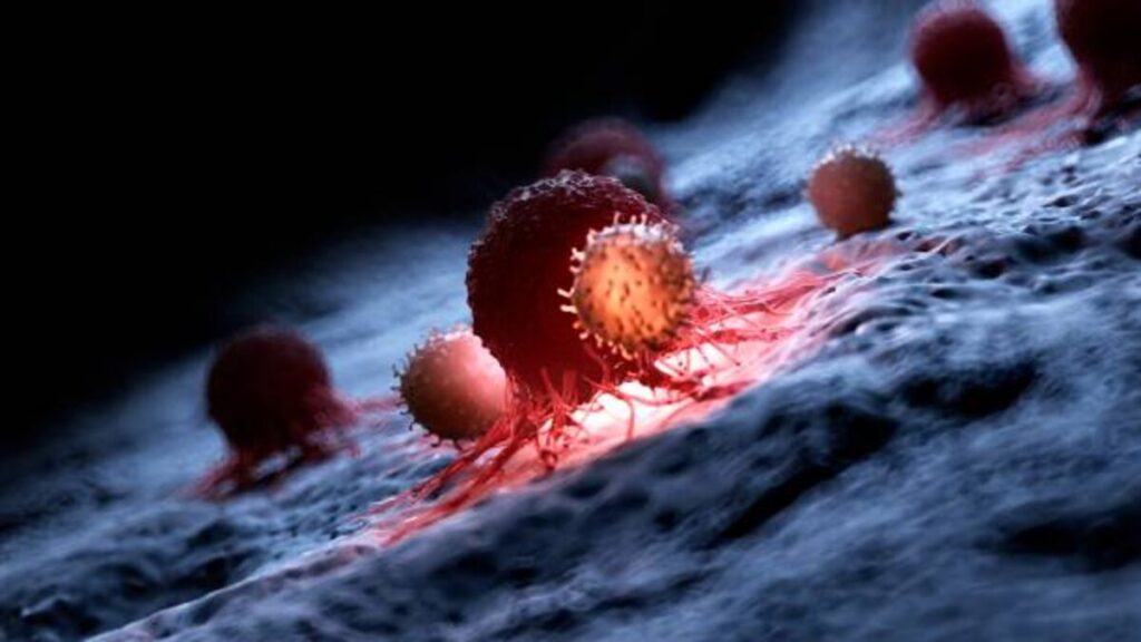 Finding the Most Effective Alternative Cancer Therapy