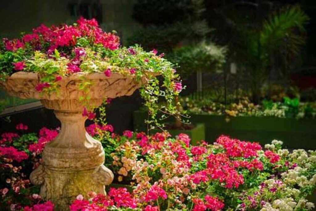 RHS Rosemoor in Devon