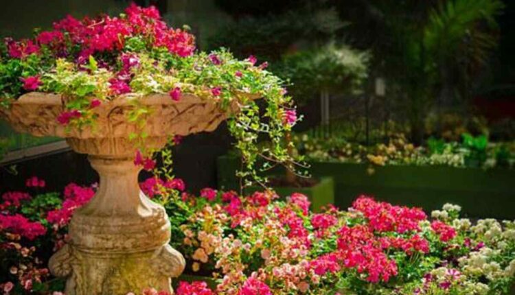 rhs rosemoor