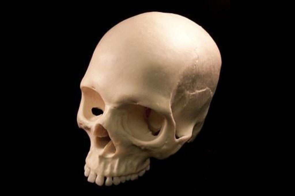 What Is Anthropology?