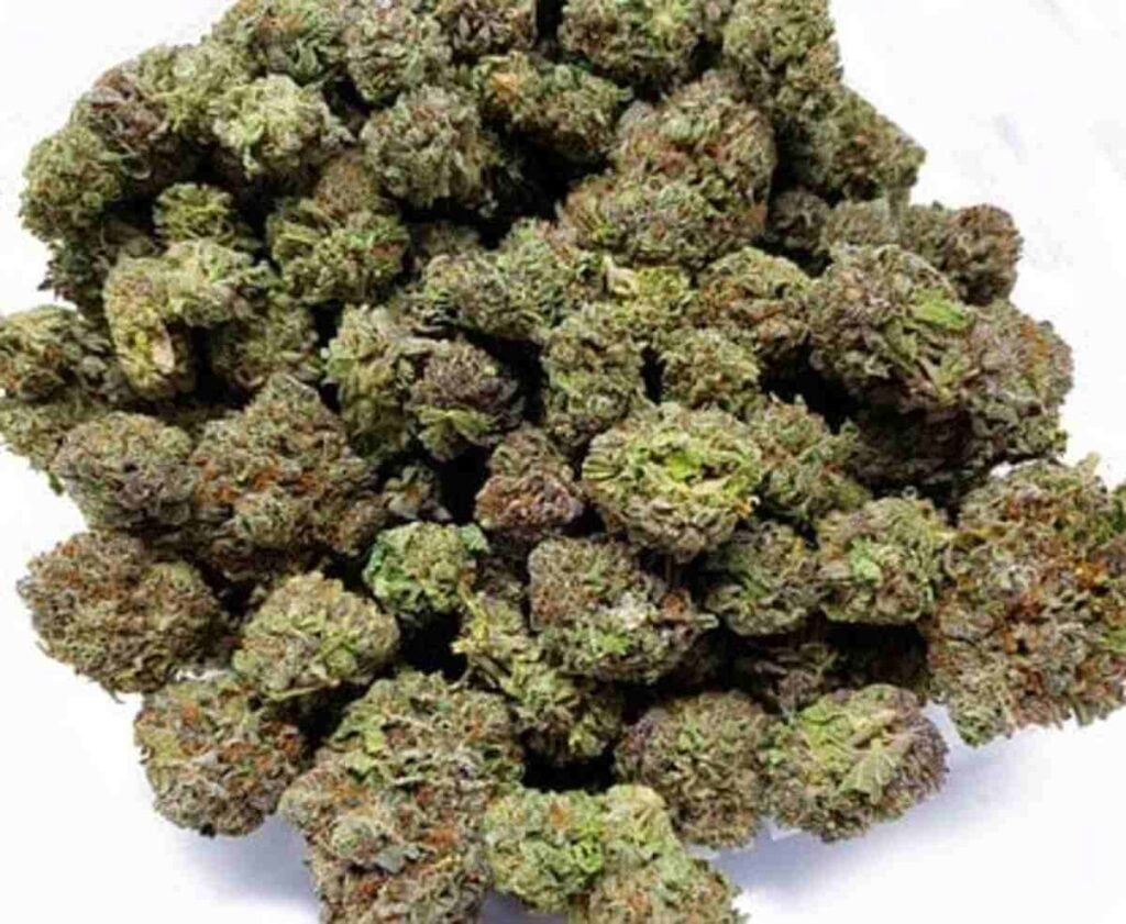 The reason why Do People Smoke Marijuana?