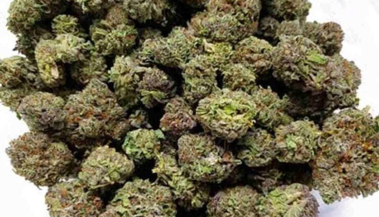 Buy weed Nevada