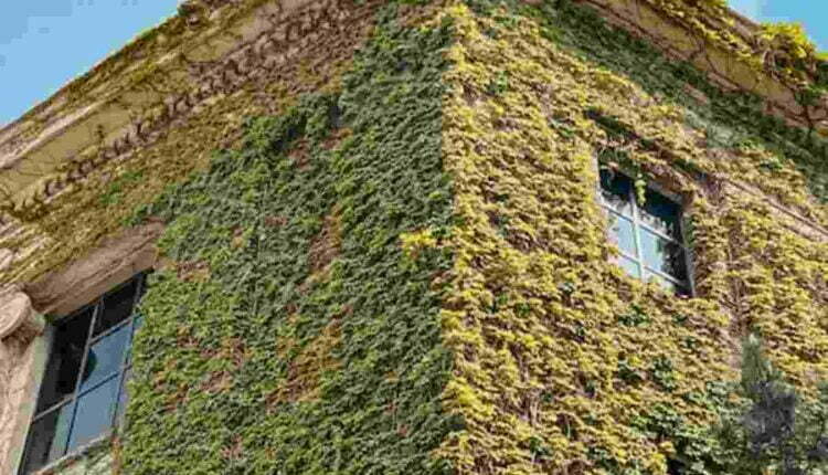 arbor homes reviews