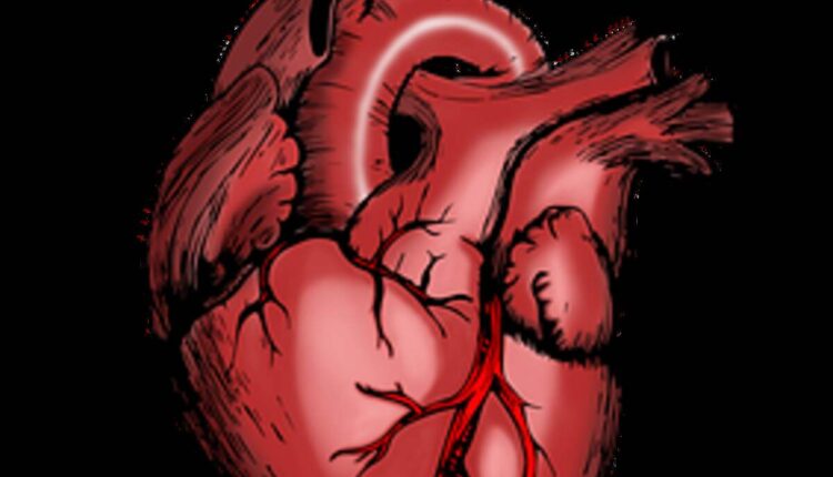 cardiovascular