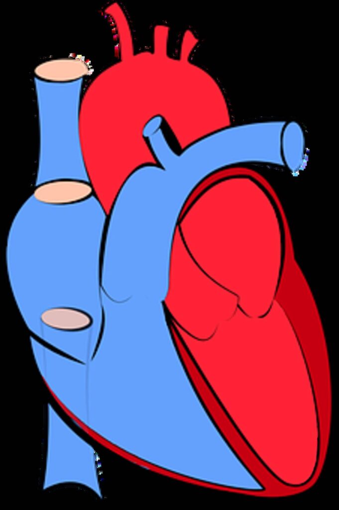 Stress and Coronary Artery Illness