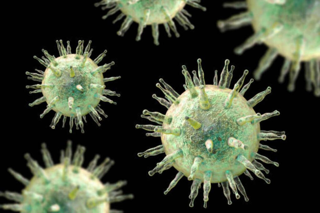 Epstein Barr Virus – Signs and Remedies