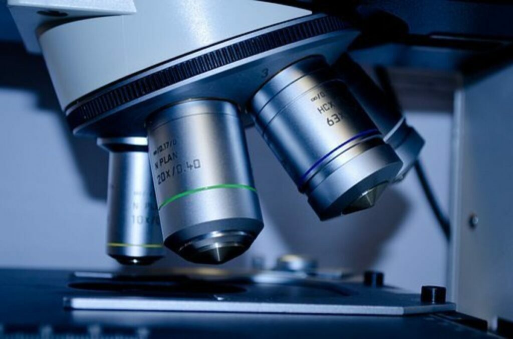 Find out how to Repair Test Engine Gentle Signs and Causes