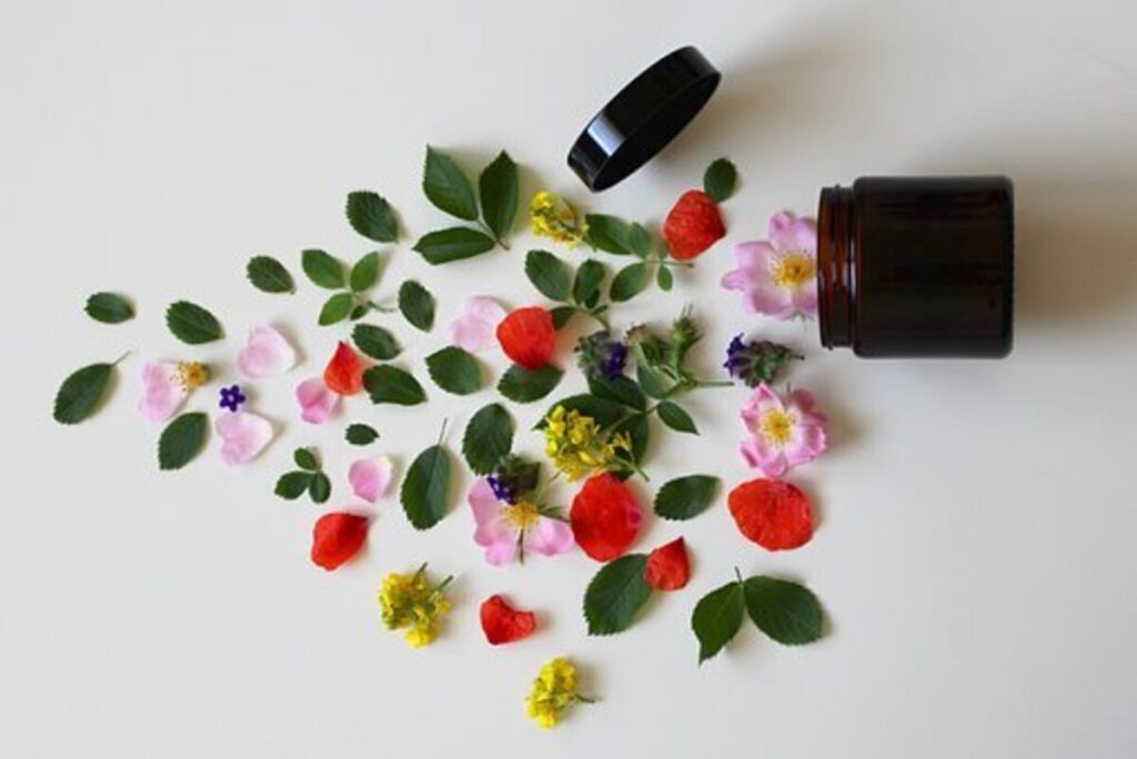A spat for Stem Cell Lotion in Hyaluronic Acid Skincare – A Great Combination