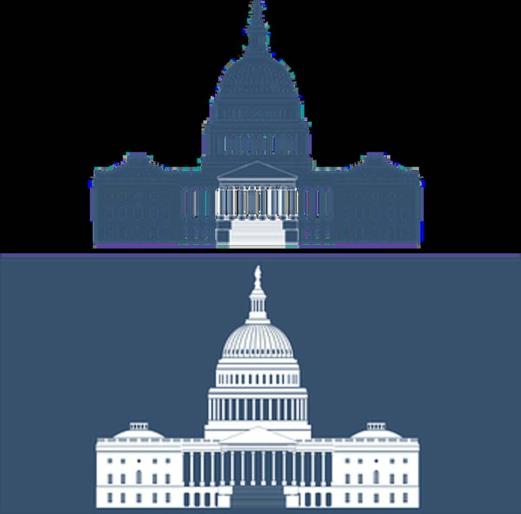 Companionship and Politics – Will they Mix?