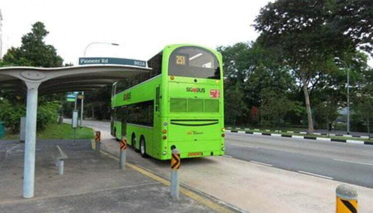 Big Green Coach Reviews