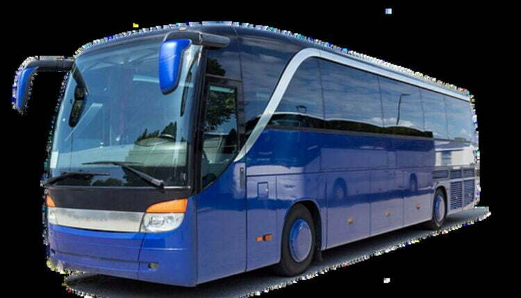 Greenline Travels Review