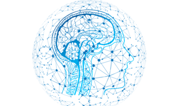 best nootropic supplements