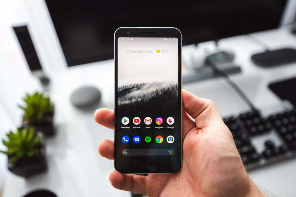 Google Pixel 5 Digital camera Evaluation