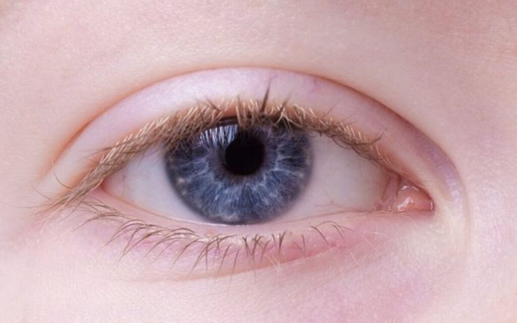 Top 10 Ophthalmologists in Chennai 