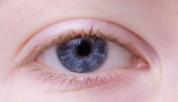 Top 10 Ophthalmologists in Chennai 