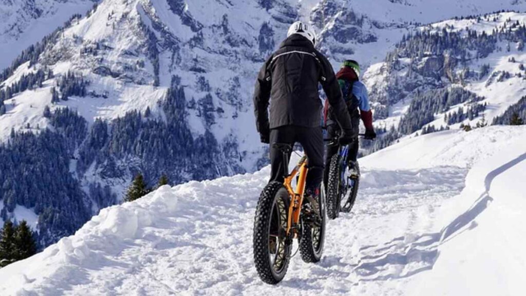 Top 10 Bikes in Canada