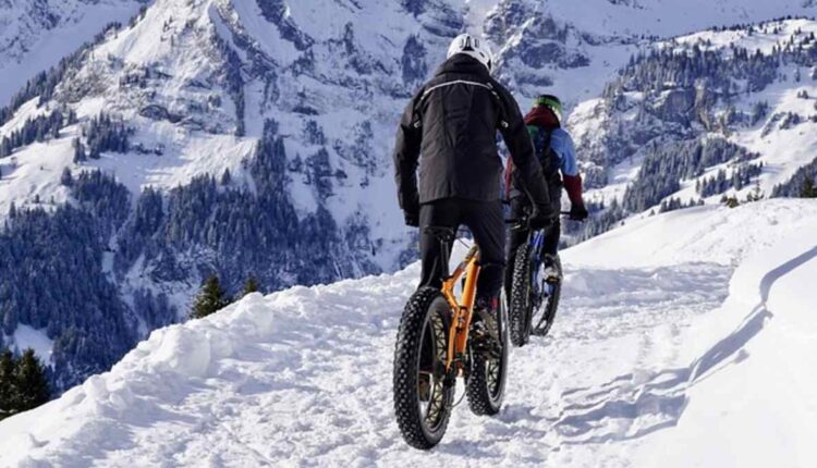 Top 10 Bikes in Canada