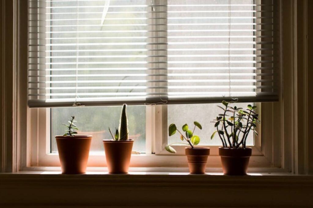 Is Roman Shade Expensive?