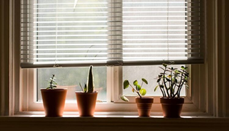 custom Roman shades
