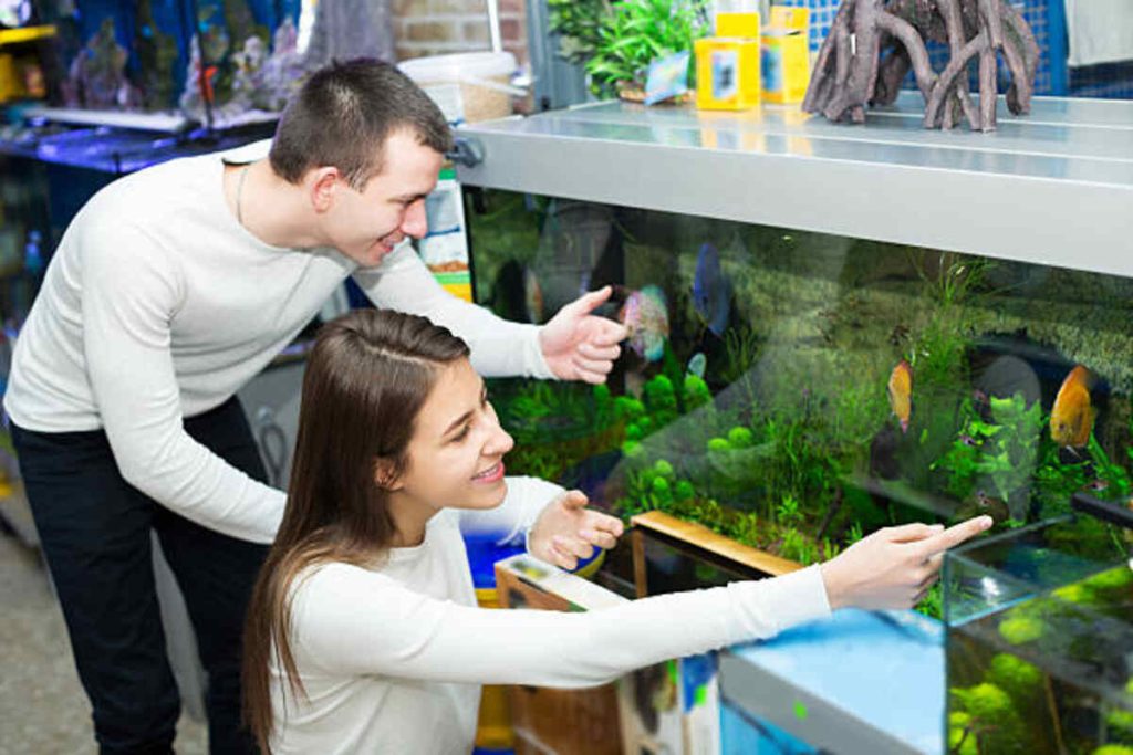 Freshwater Aquarium Shop Near Me