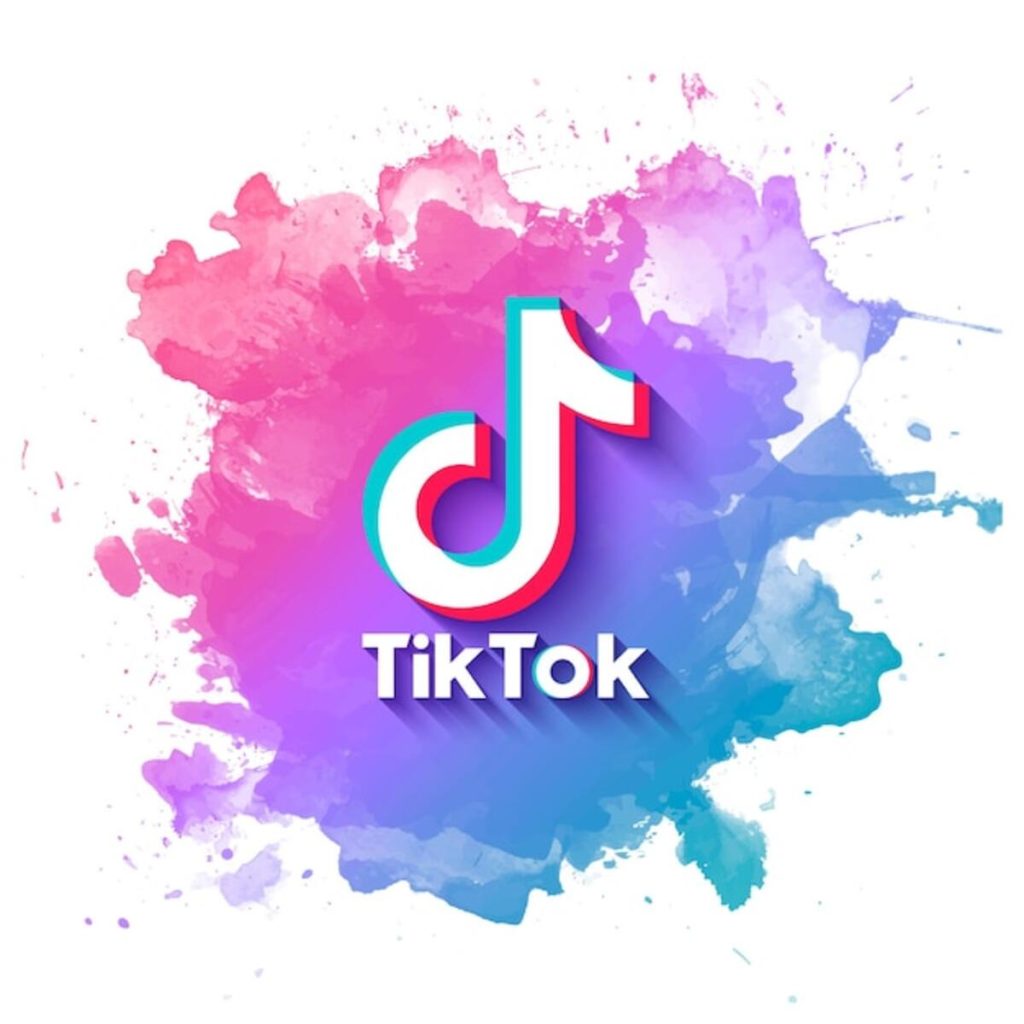 Tiktok Video Downloader by Username