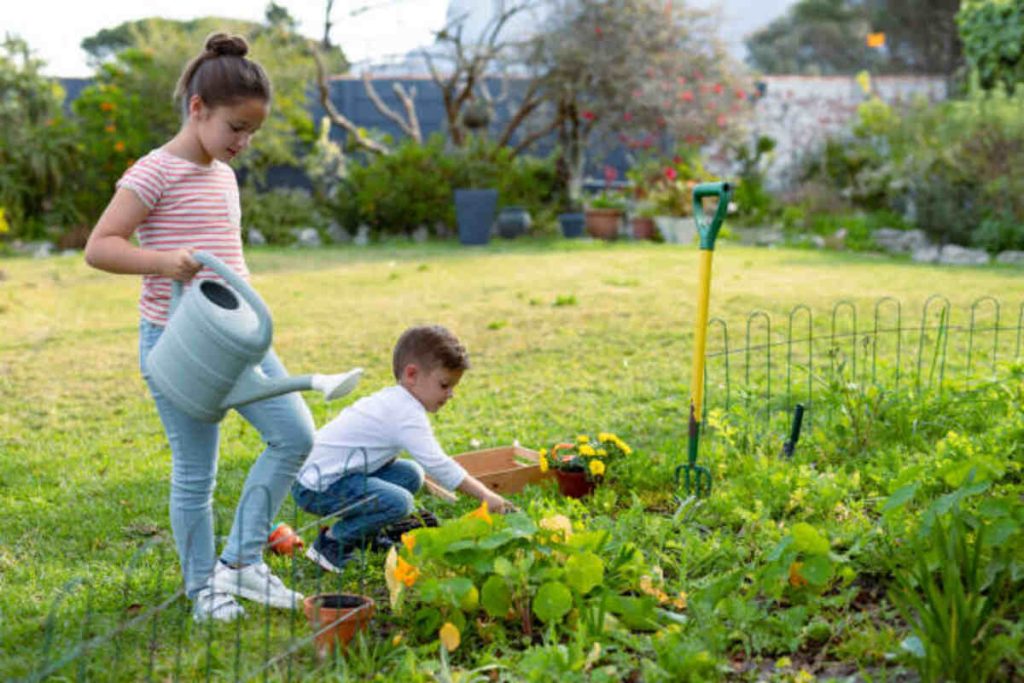 PD Home and Garden