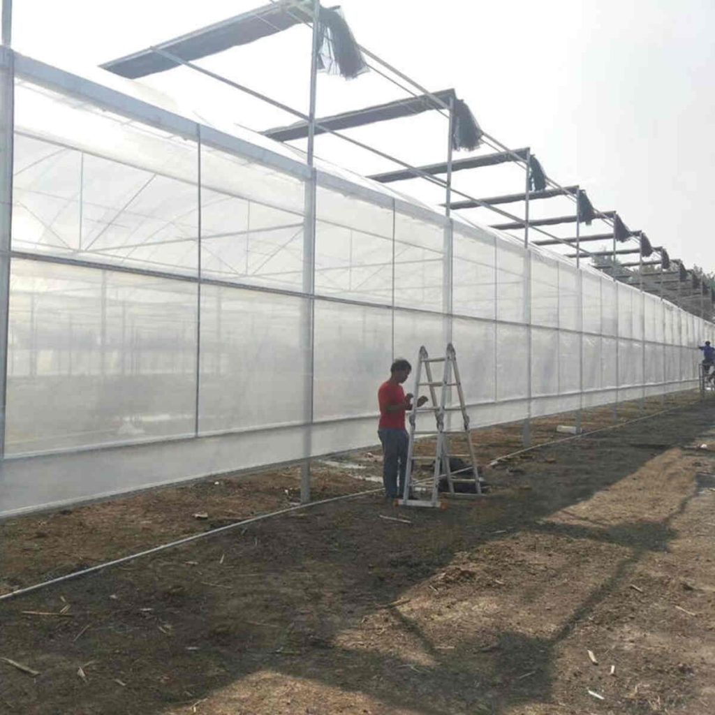 Greenhouse Shed Combo