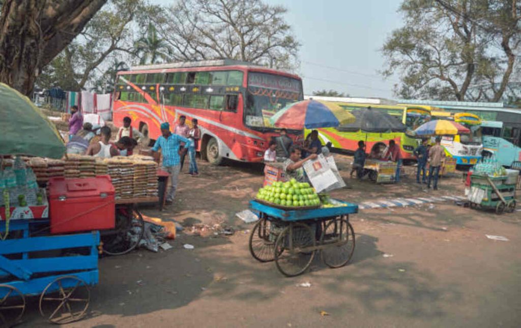 What is a Fruit Name in Bengali?