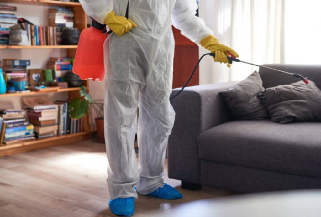 The Essential Guide to Crime Scene Cleanup Companies