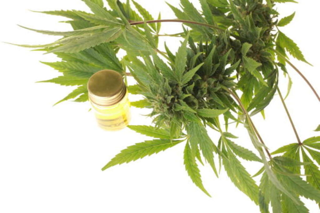 Checking the Benefits of Core 2 . zero Dab Rigs