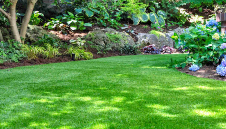landscaping mountain view ca