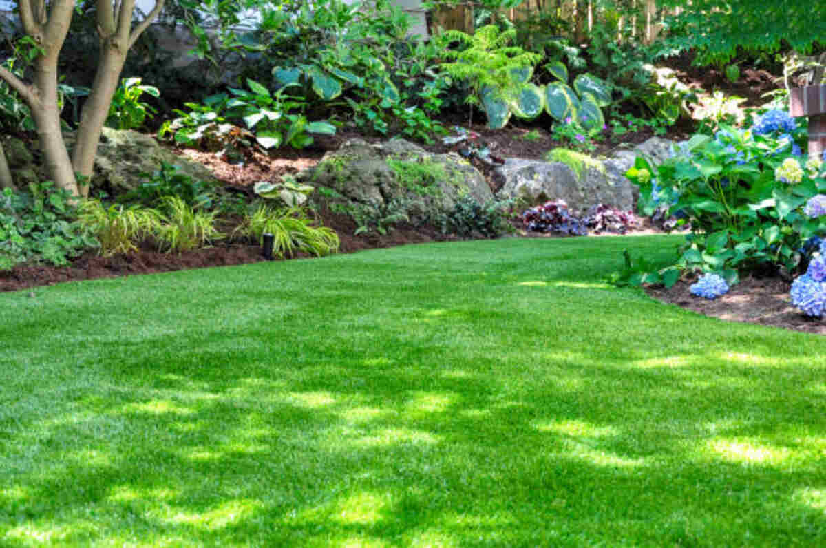 landscaping mountain view ca